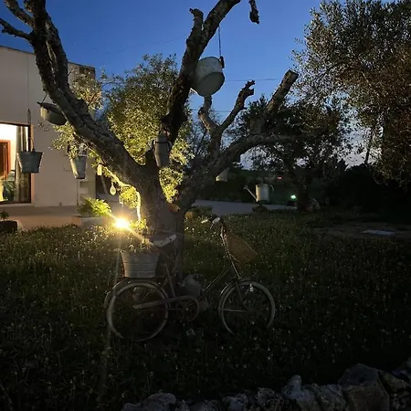 A Lu Fanizza B&B 쿠트로피아노