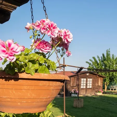 Bed and breakfast A Lu Fanizza 4*