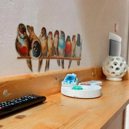 A Lu Fanizza Bed and breakfast Cutrofiano