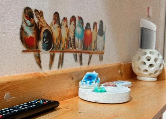 A Lu Fanizza Oda ve Kahvaltı Cutrofiano